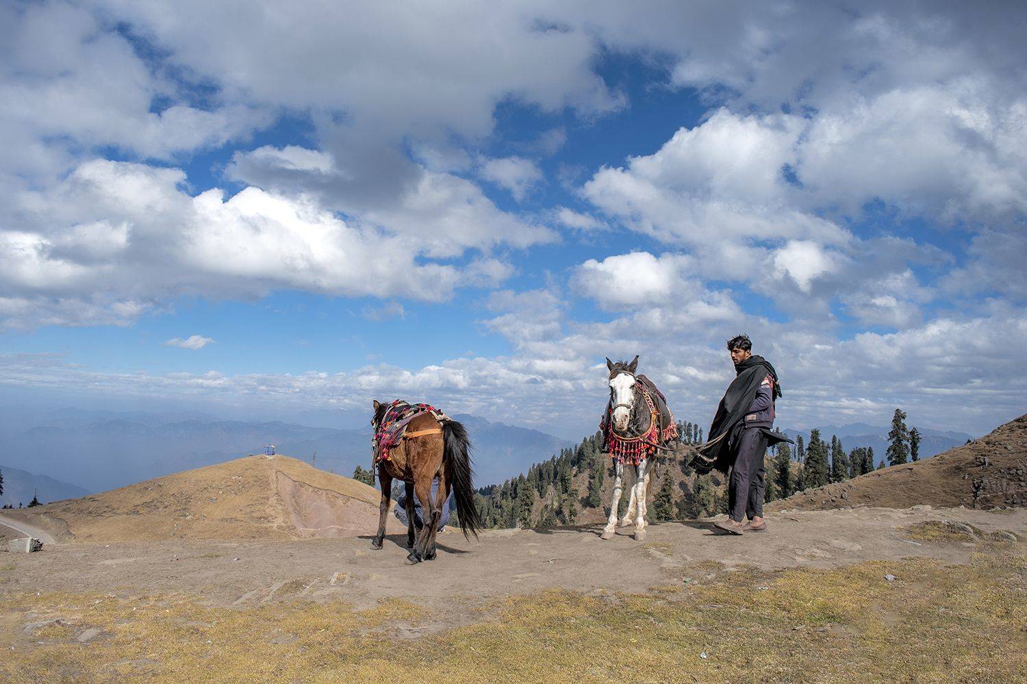 #street #life #dailylife #horses #strugle , Zaheer Abbas