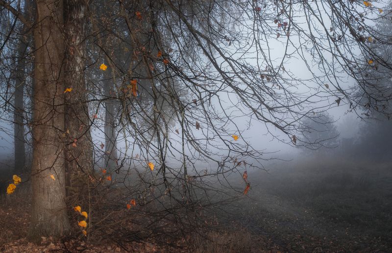 ******** фото превью