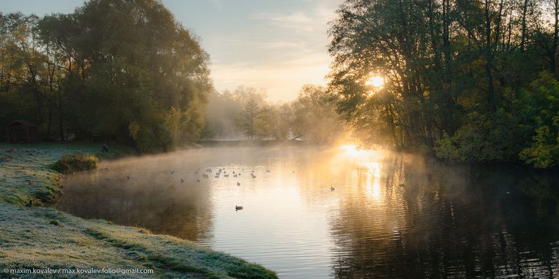 europe, kuzminki, moscou, moscow, russia, autumn, fog, gauze, haze, morning, nature, park, pond, sunrise, water, европа, кузьминки, москва, россия, шибаевский пруд, вода, восход, дымка, осень, парк, природа, пруд, туман, утро Морозное утро фото превью