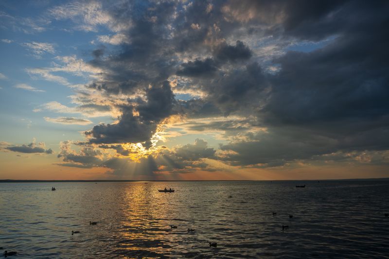 315 фото превью