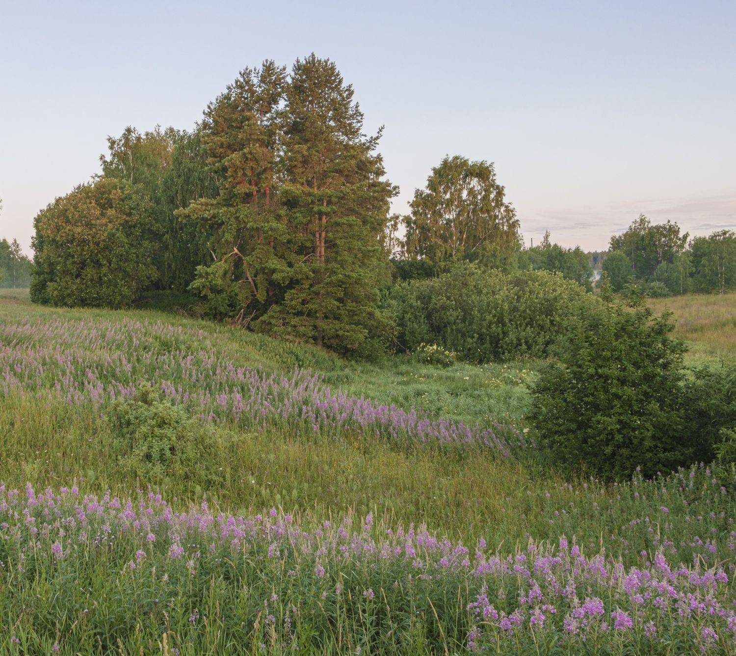 , Ольга Бонина