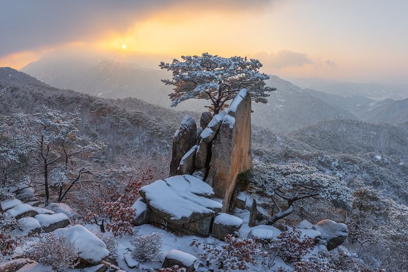 Winter oesolbong фото превью