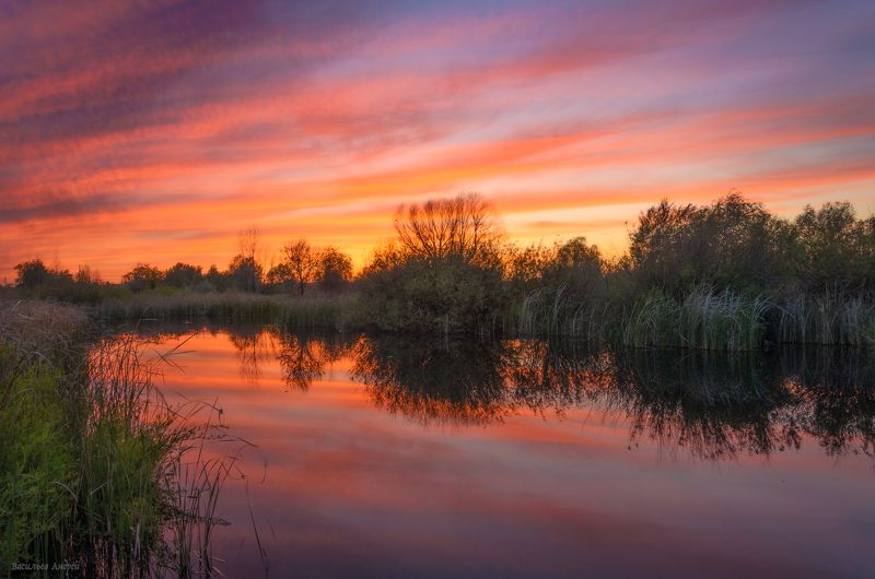 вечер, закат, небо, пруд, орск Вечер на пруду фото превью