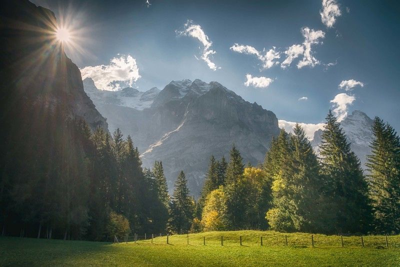 Grindelwald фото превью