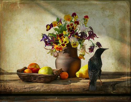 Июнь. Вечер.