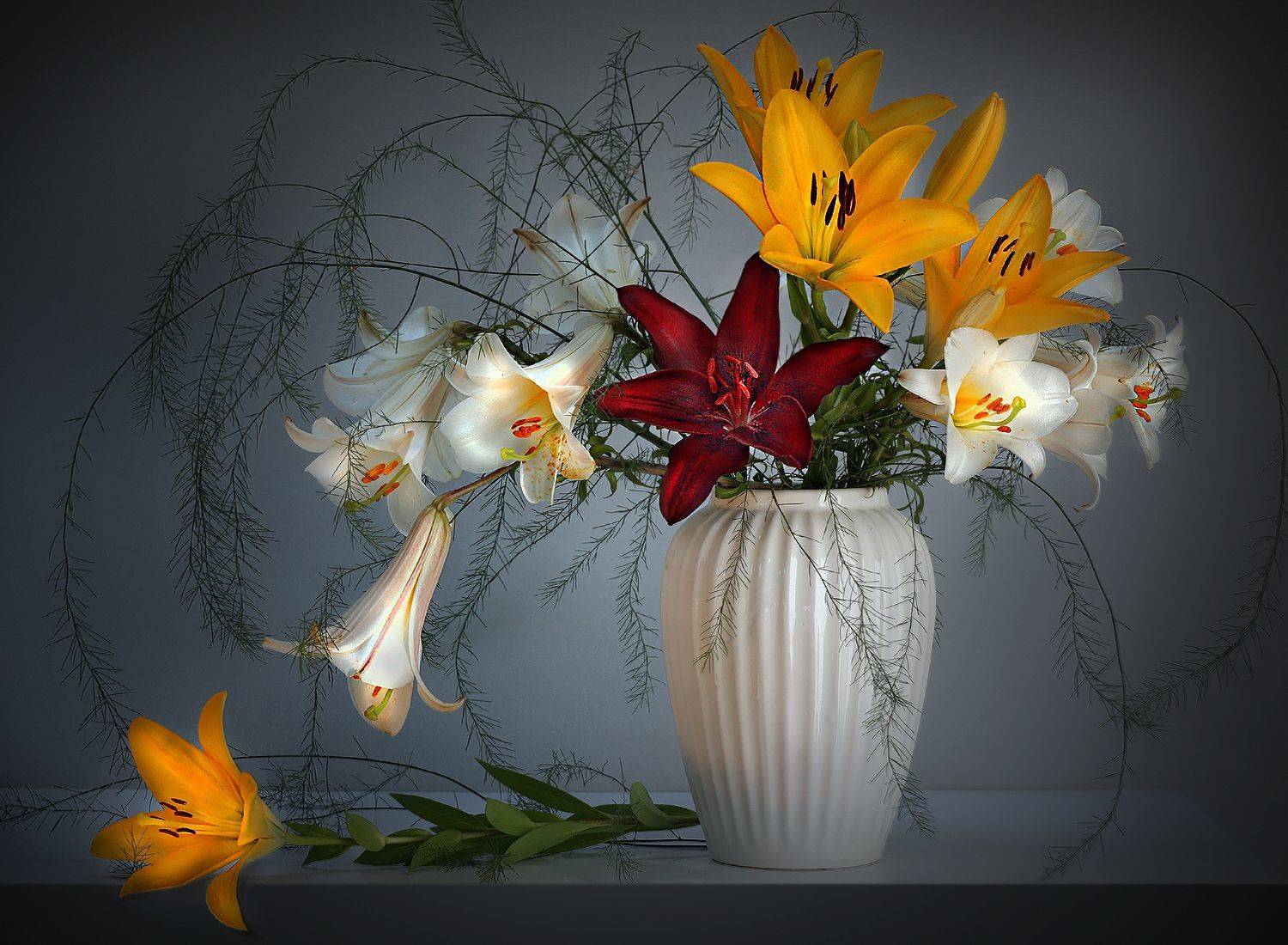 , Ольга Заболотская