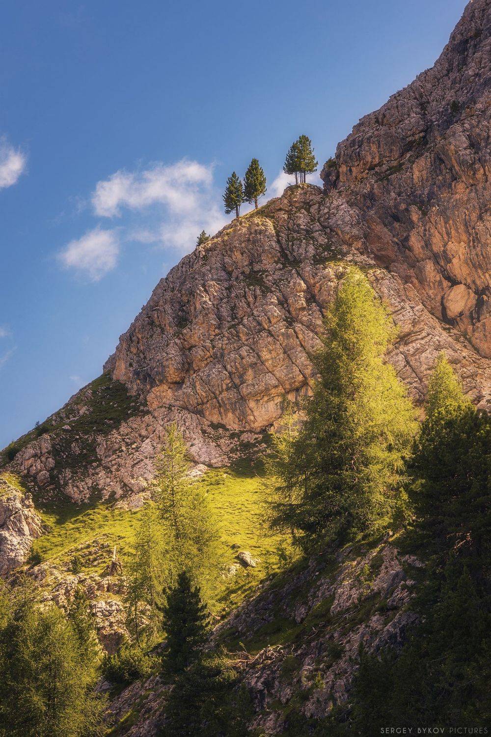 , Быков Сергей