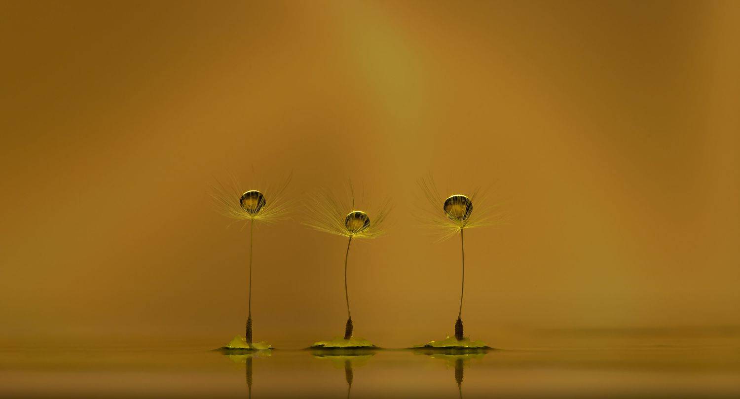 , Мария Обидина