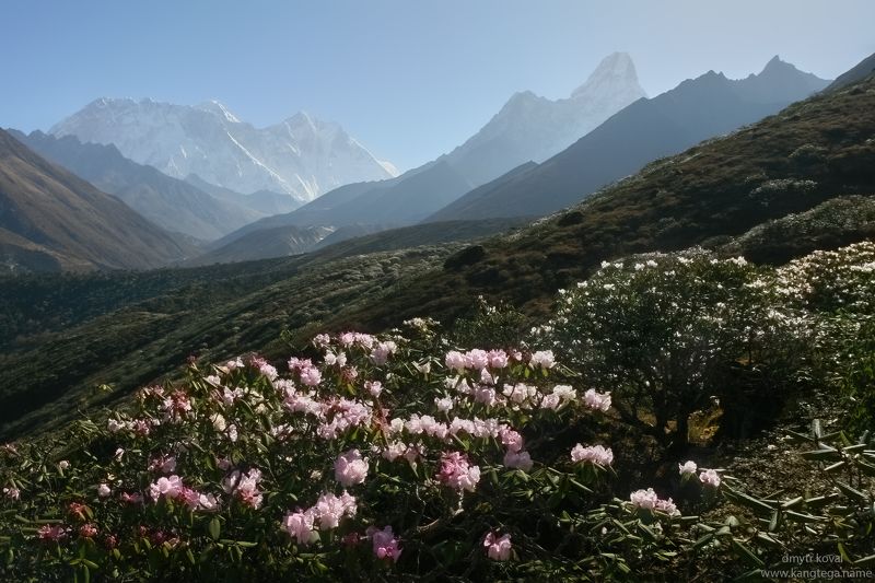 дмитр коваль, гималаи и крым вне треков, пейзаж как магия Гималайские светенья фото превью