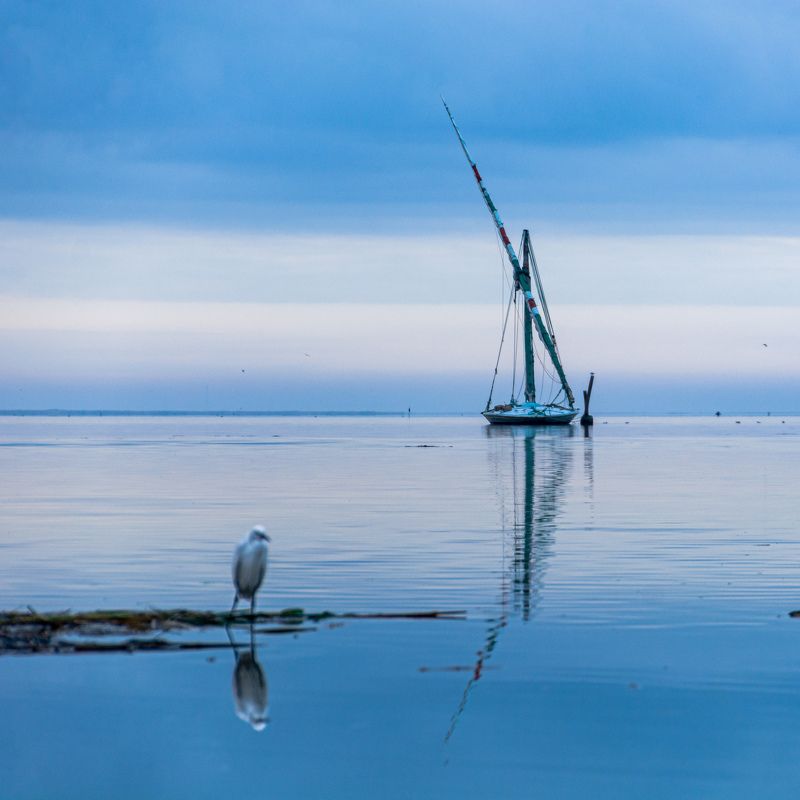 Burullus, Egypt фото превью