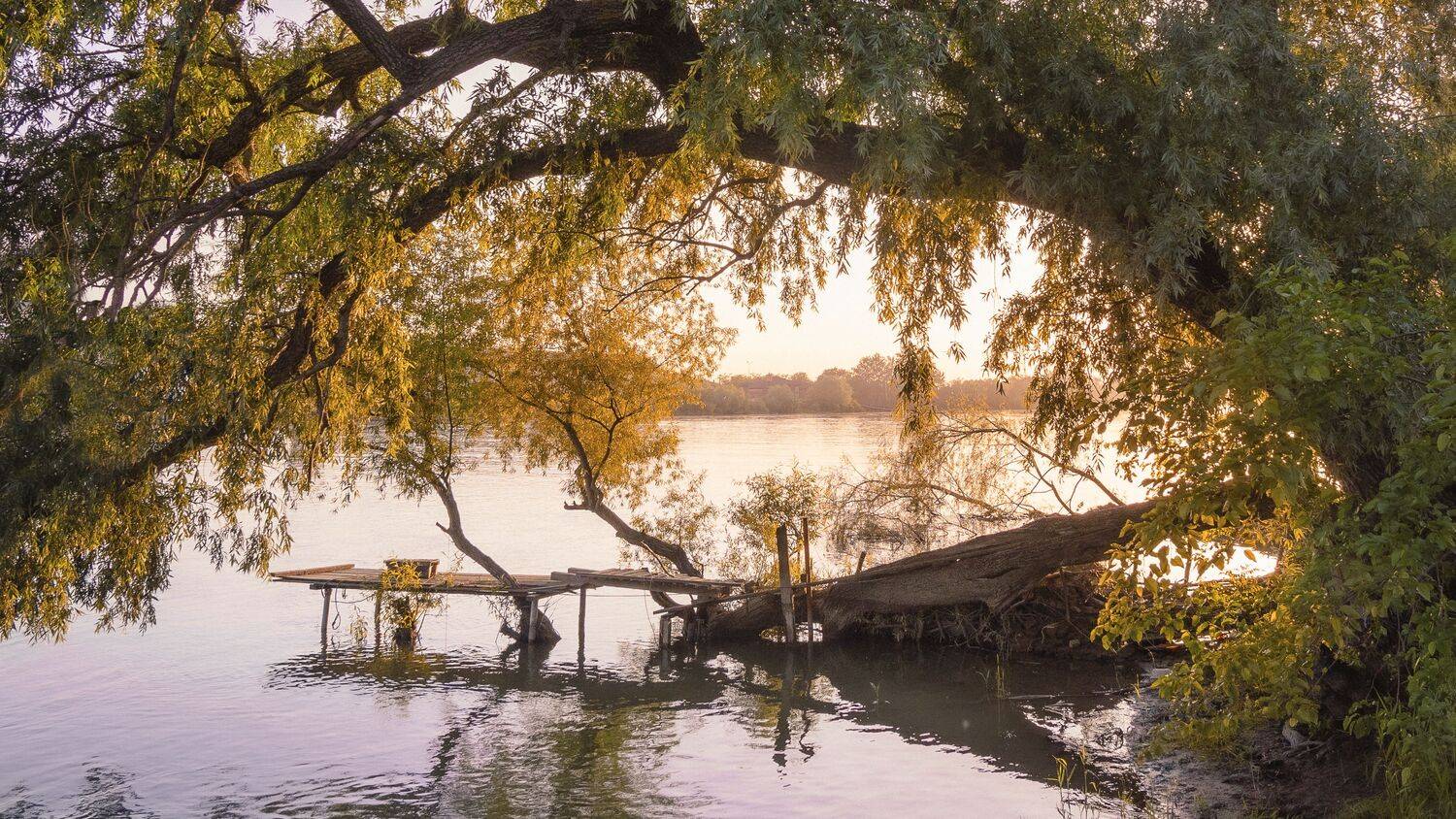 , Вадим Коваленко