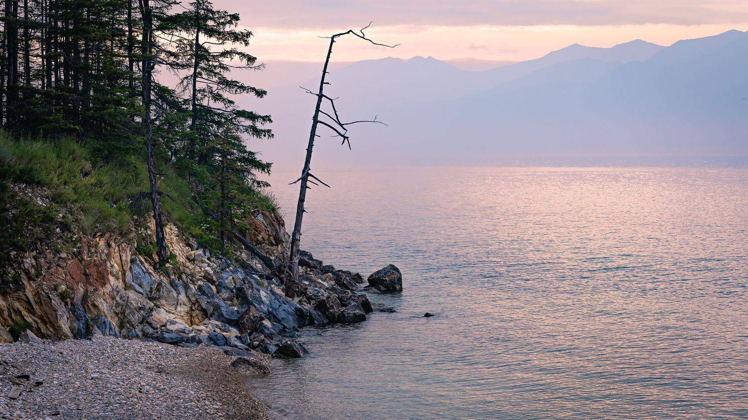 , Васильев Андрей