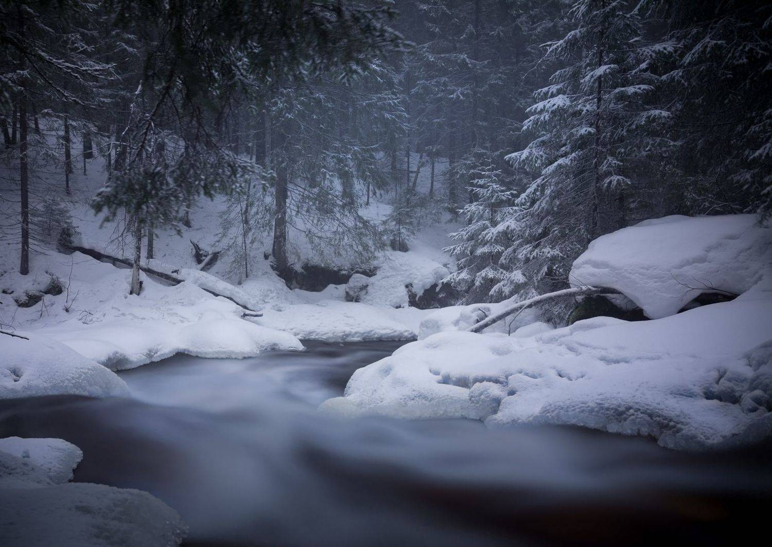 , Фабричный Роман