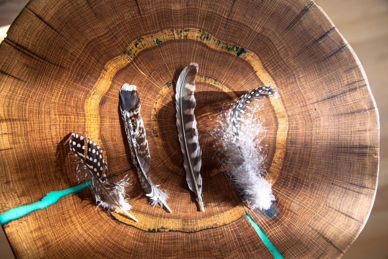 Перья, дерево Перья фото превью