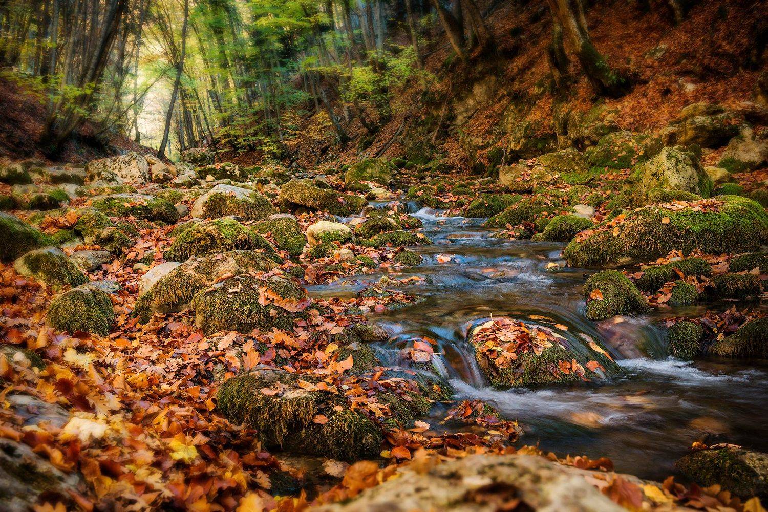 осень, лес, река, листья, деревья, пейзаж, Владимир Яковлев