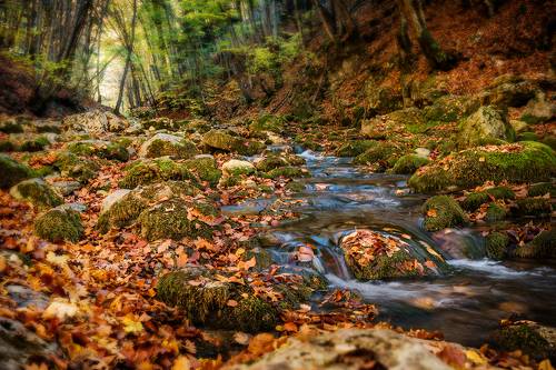 Осенний этюд