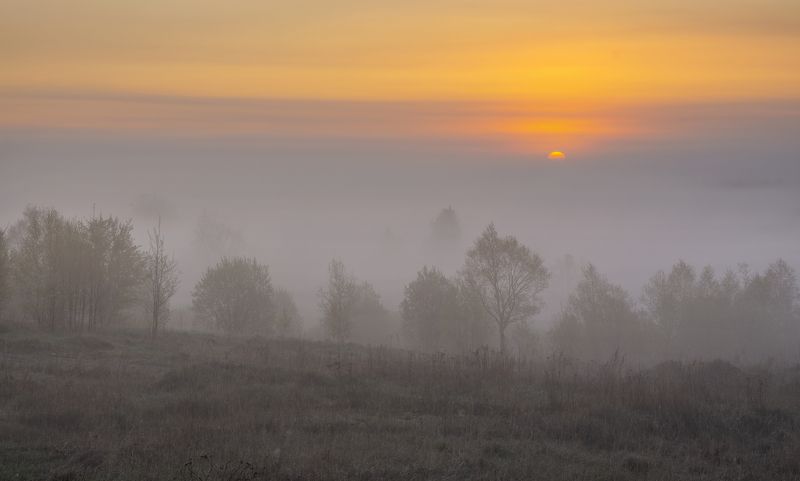 ... фото превью