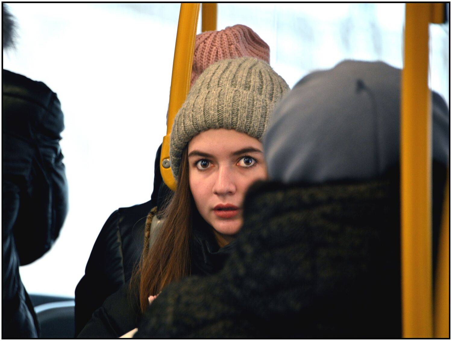 , Меднов Влад