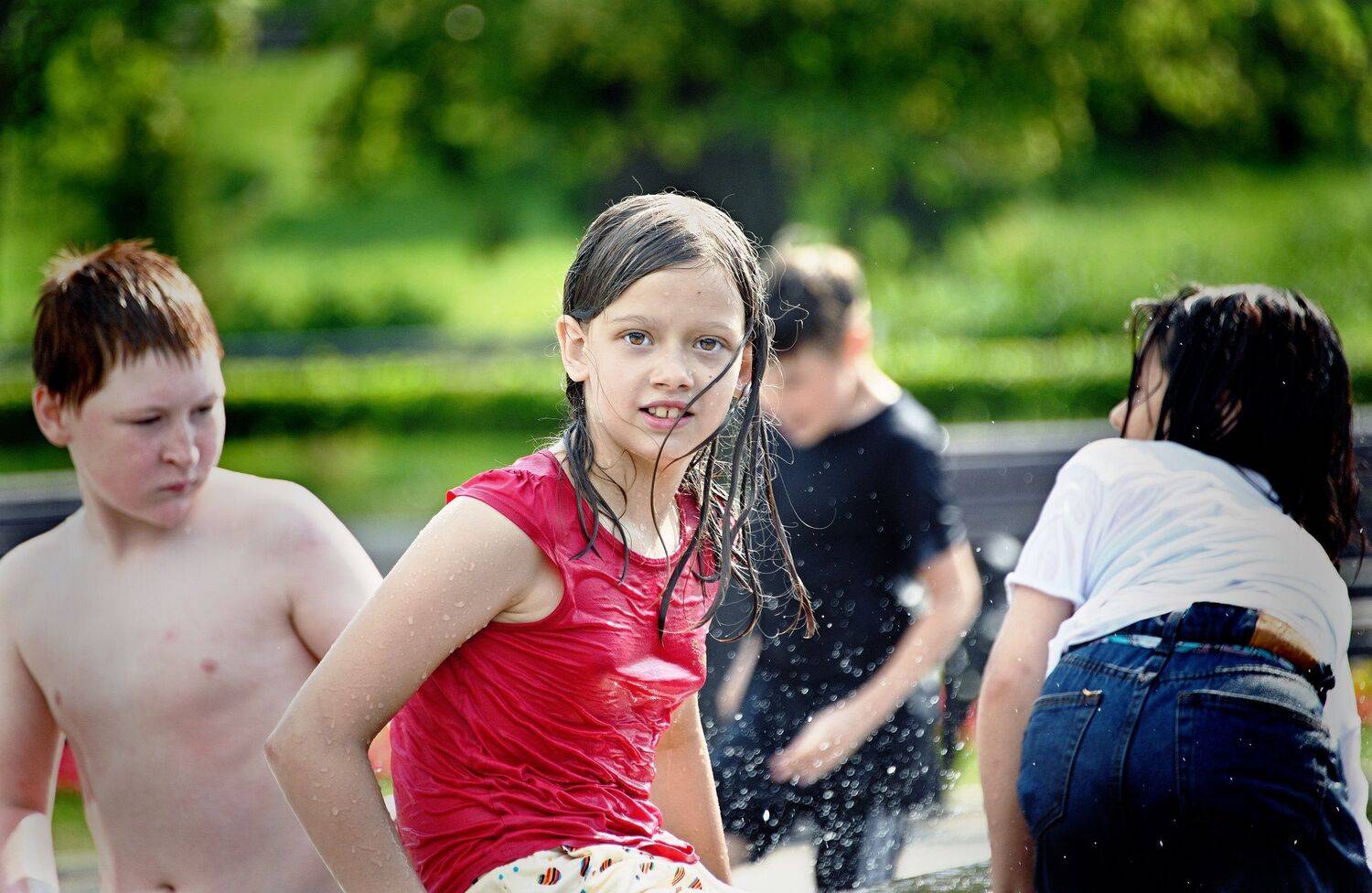 , Меднов Влад