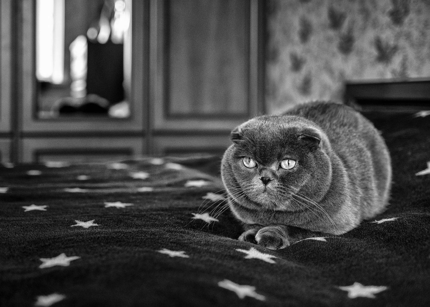 , Диденко Юрий