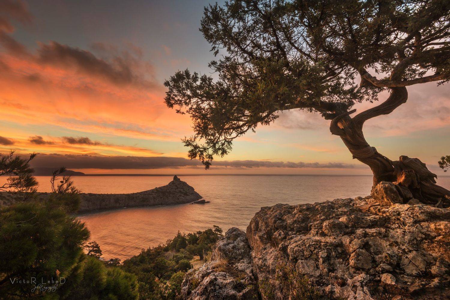 , Виктор Лебедь