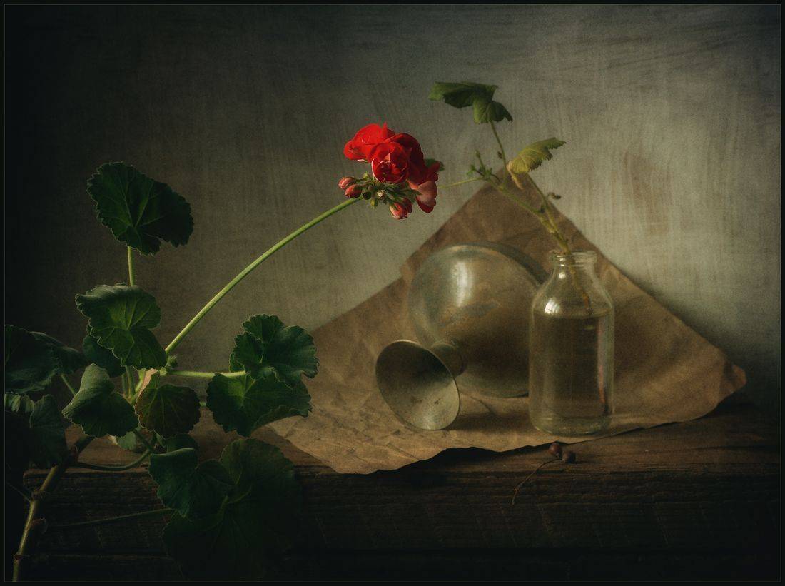 , Хромеев Александр