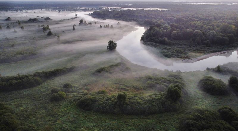 Над рассветными лугами фото превью