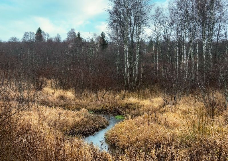Ручей Катыш. фото превью