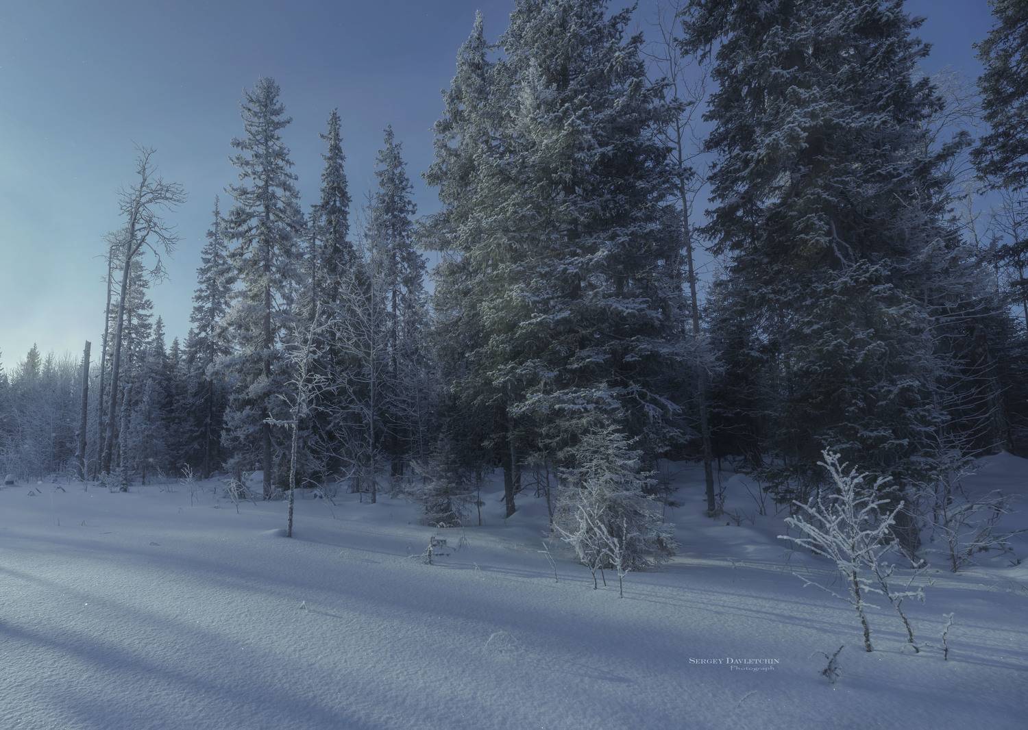 , Сергей Давлетшин