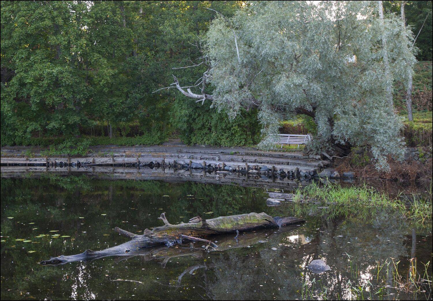 , Георгий Сапожников