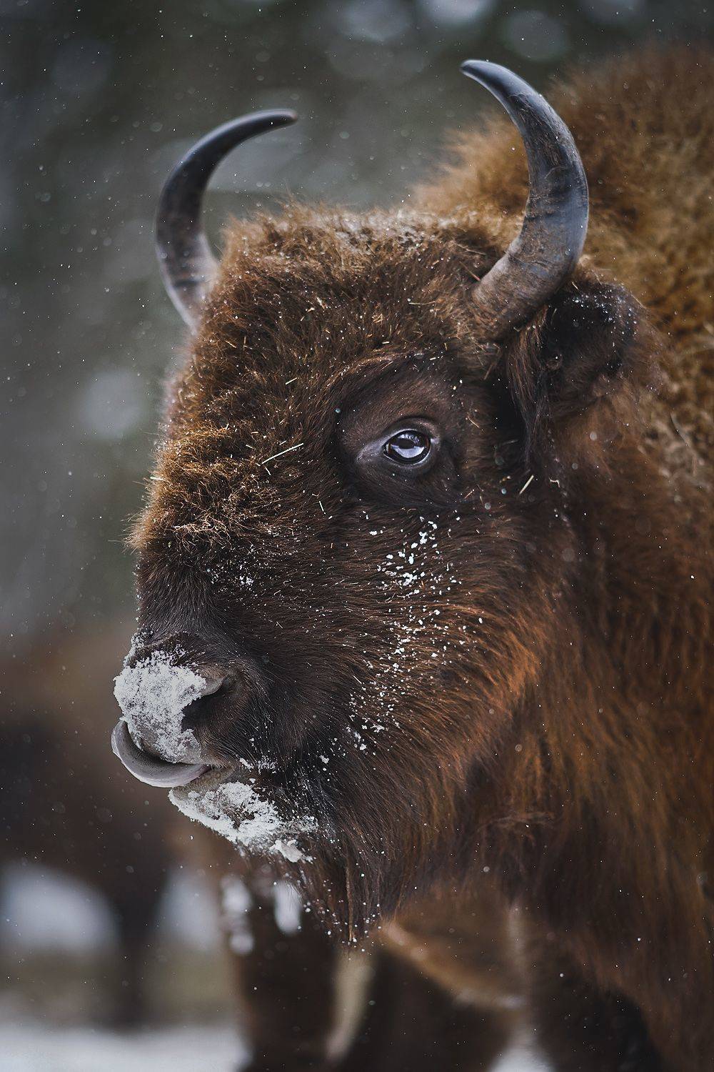 , Тябин Владислав