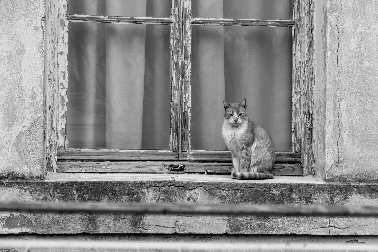 , Шилов Александр