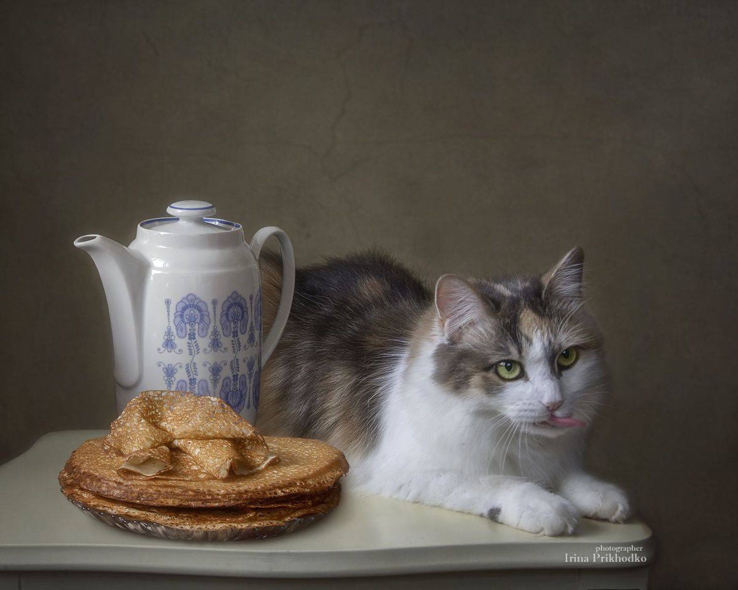натюрморт, постановочное фото, домашние животные, блины, масленица, кошка,, Приходько Ирина