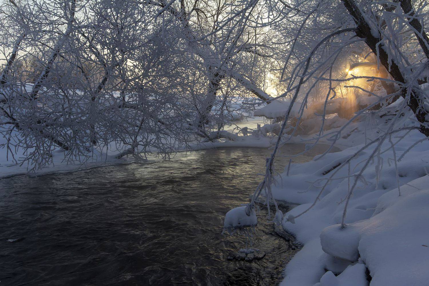 пейзаж, река, мороз, иней, Феденкова Татьяна