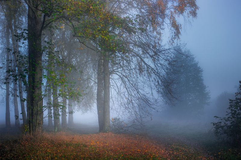 ******** фото превью