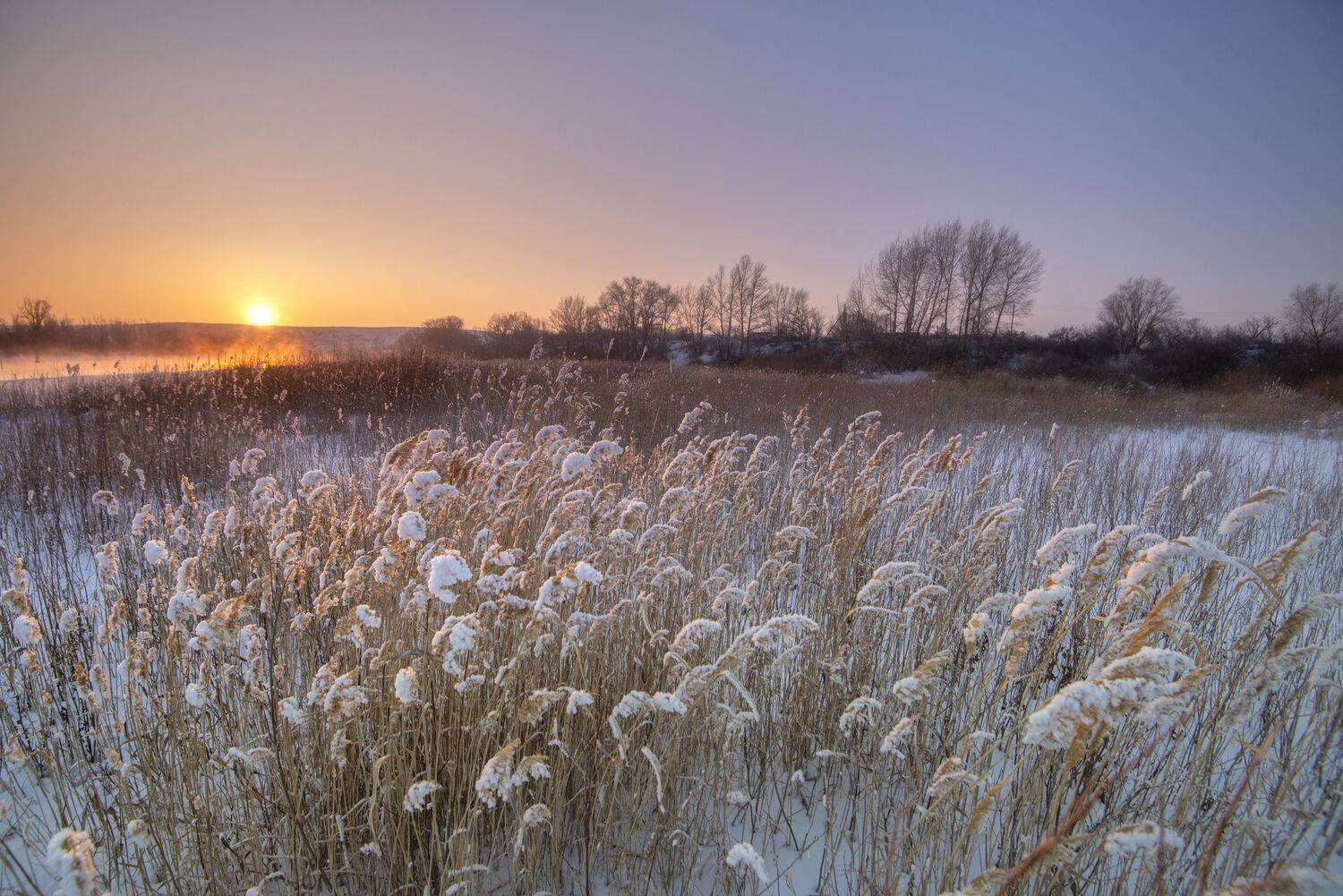 , Антонов Антон