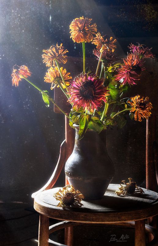 Отцвели мои цинии красные... фото превью