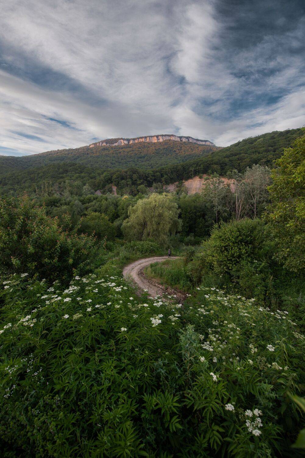 , Дмитрий Величко