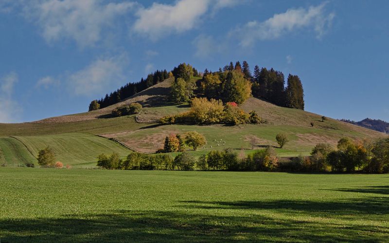 *** фото превью