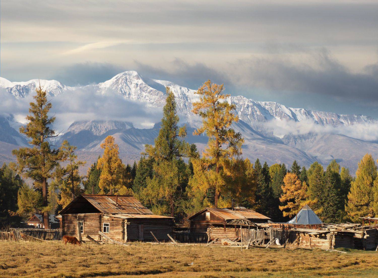 Алтай, Курай, Курайская степь, Северо-чуйский хребет, Республика Алтай, Горный Алтай, горы, Галина Хвостенко