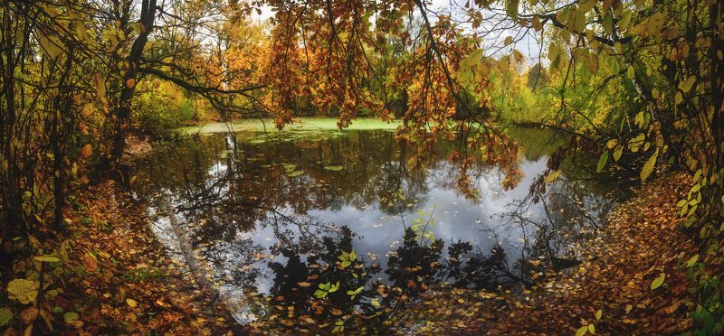 тула, озерный, октябрь, мясоедово Про лесное озеро фото превью
