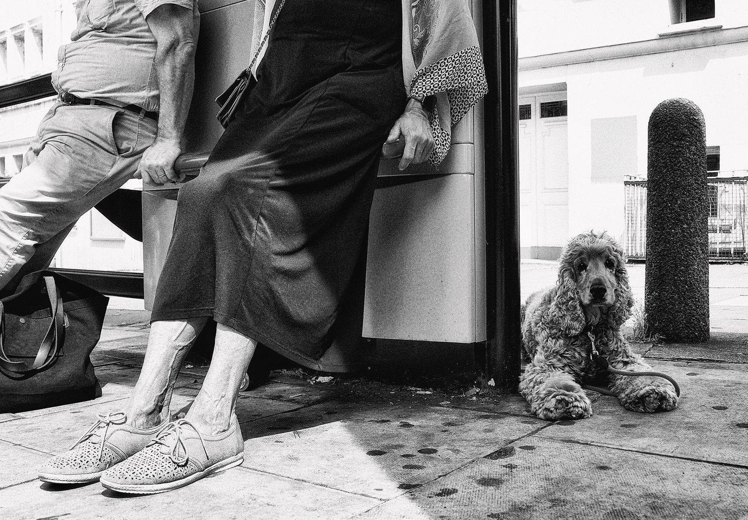 , Елена Лаврова