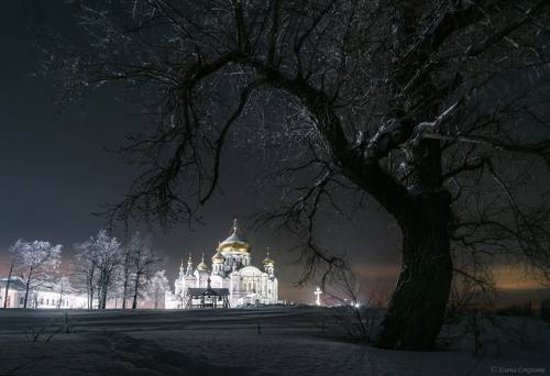 Звездная ночь над храмом