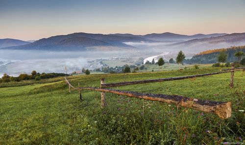 Летнее утро Карпат