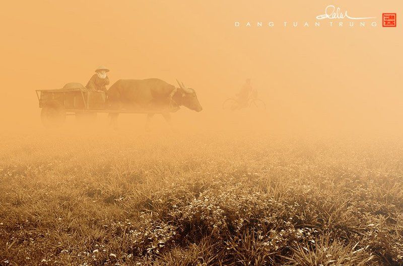 Dang Tuan Trung, Frank Dang Early morning фото превью