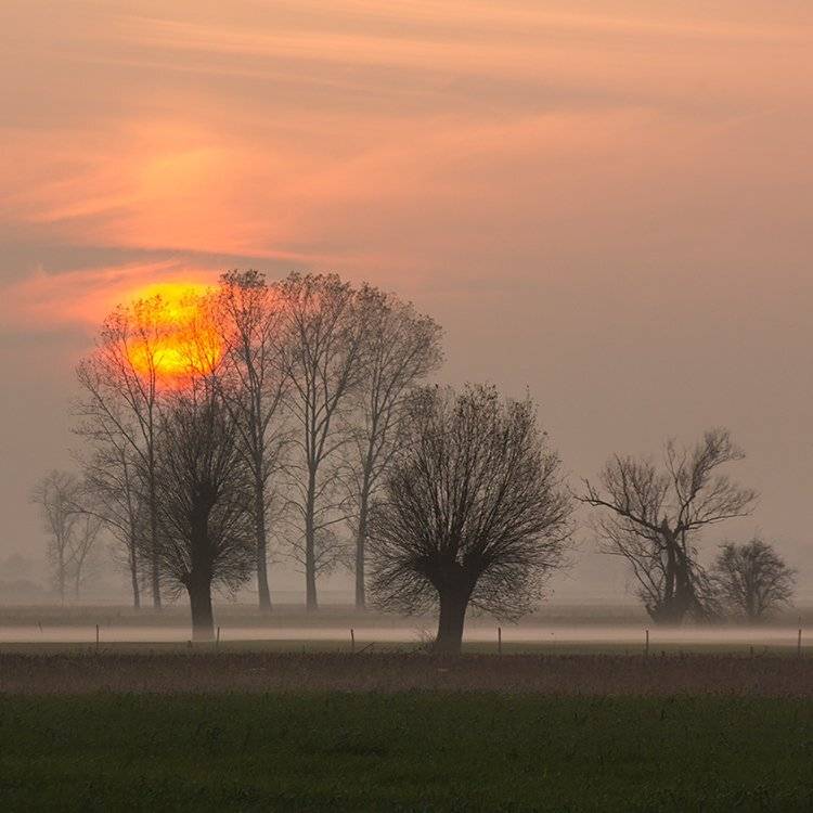 , Pawel Plucinski