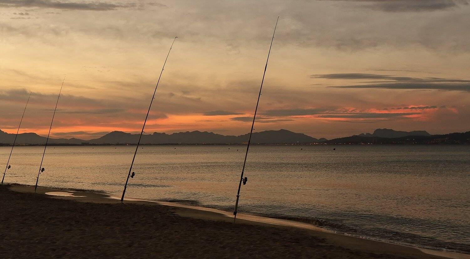 , Игорь Дубровский