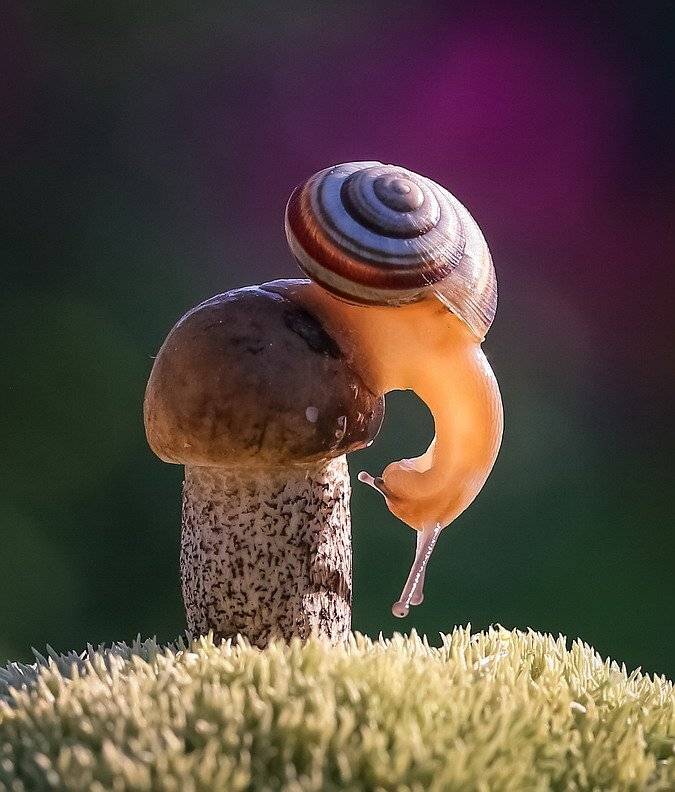 , Вячеслав Мищенко