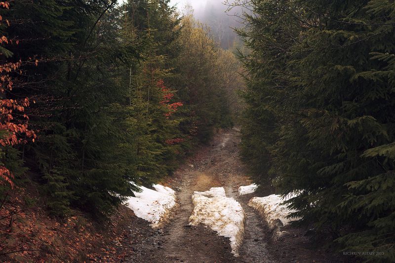 Украина, Карпаты, горы, лес, снег, горная дорога, туман Первые признаки снега фото превью