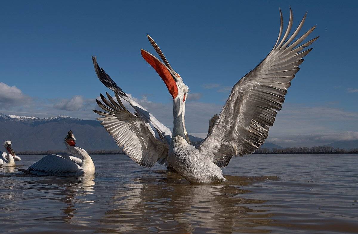 , Сергей Златков